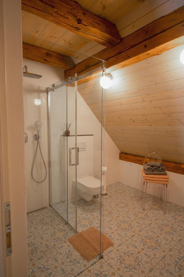 Mlyn Salajna Apartment Dolni Zandov Exterior foto
